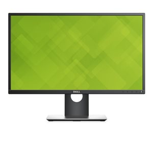 Dell Professional Series P2417H 24