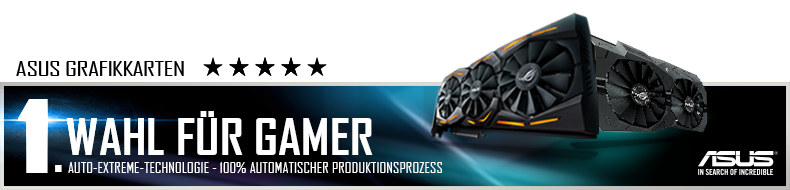 ASUS GT1030-SL-2G-BRK Grafikkarte