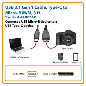 Tripp Lite 3ft USB 3.1 Gen 1.5 Gbps Cable USB Type-C USB-C to USB Type B  M/M 3' - USB-C cable - USB Type B to 24 pin - U422-003 - USB Cables 