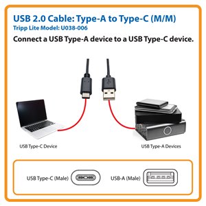 Tripp Lite 6ft USB 2.0 Hi-Speed Cable A Male to USB Type-C USB-C Male 6' -  USB-C cable - 24 pin USB-C to USB - 6 ft - U038-006 - USB Cables 