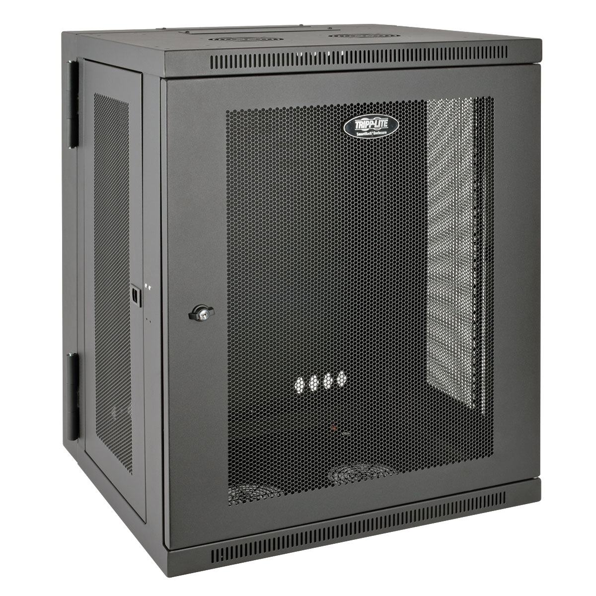 Tripp Lite 15U Wall Mount Rack Enclosure Server Cabinet Hinged Wallmount  rack 15U Dell USA