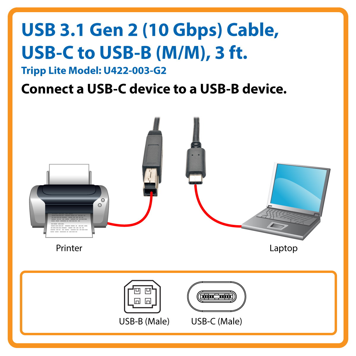 Tripp Lite 3 ft. USB 3.1 Gen 2 USB-C to USB-B Cable (M/M), 10 Gbps, 3' USB  Type-C to Type-A, Fast Charging (U422-003-G2) 