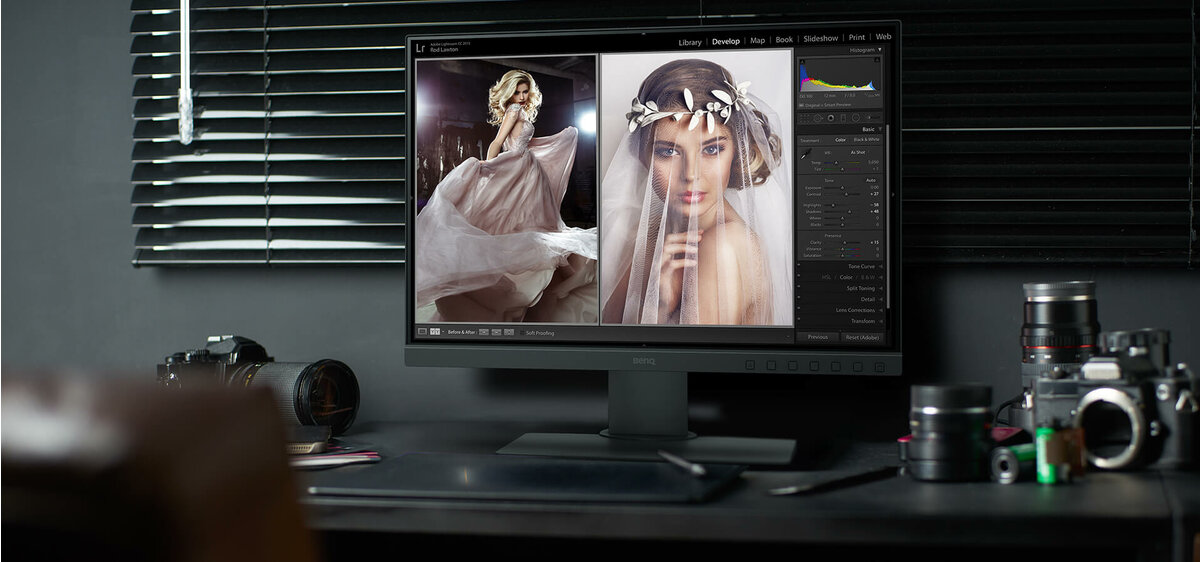 PhotoVue Photographer Professional Monitor with 24 inch, FHD 1080p, Adobe RGB |SW240