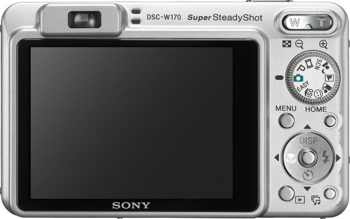 Sony Cyber-shot DSC-W170 - Digital camera - compact - 10.1 MP - 5x