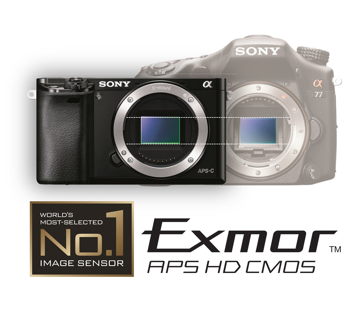 Sony Alpha a6000 Mirrorless Interchangeable-lens Camera w/ 16-50mm lens -  Black 