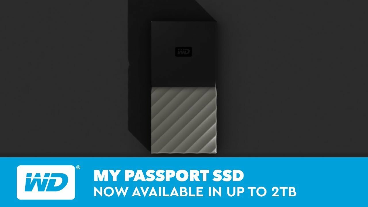 WD MY PASSPORT SSD - 256 GB Portable Drive